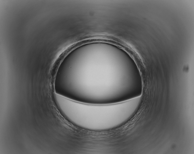 X0000096141360200801180842