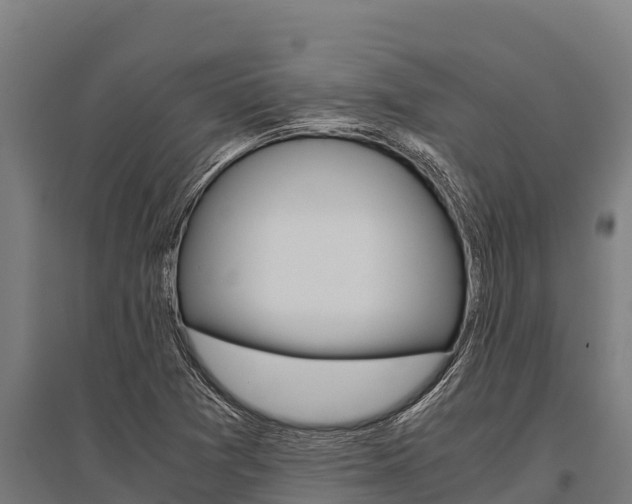 X0000096141361200801180842