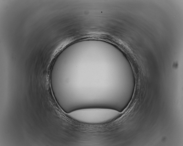 X0000096141362200801180842