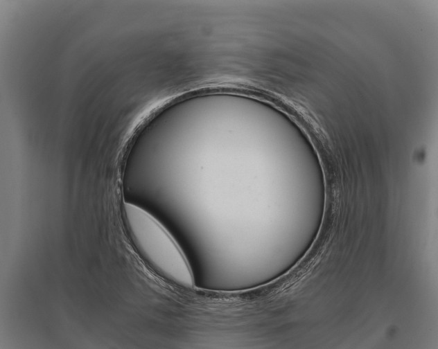 X0000096141363200801180842