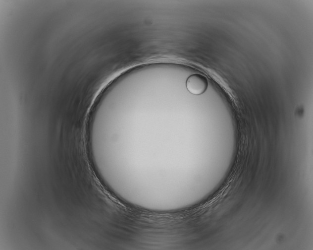 X0000096141364200801180842
