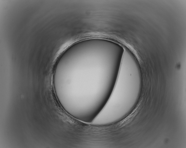 X0000096141365200801180842