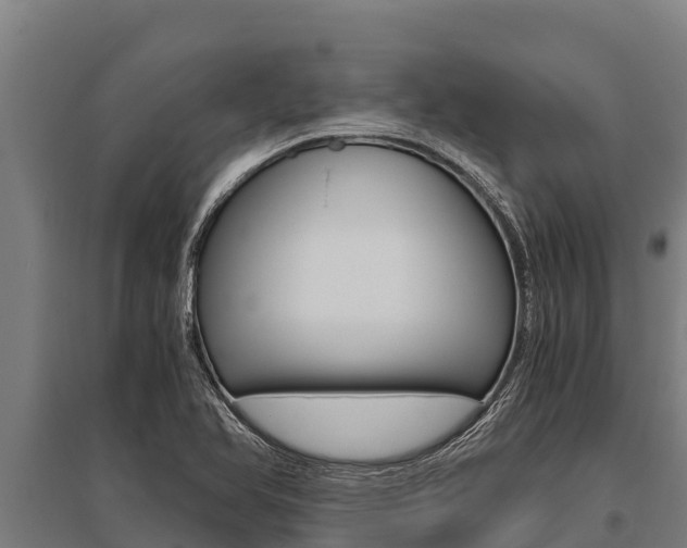 X0000096141366200801180842