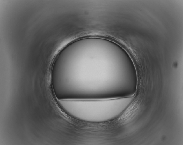 X0000096141367200801180842
