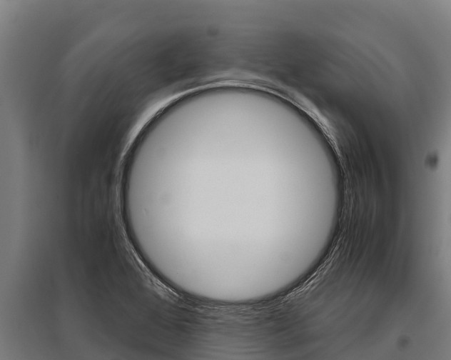 X0000096141368200801180842