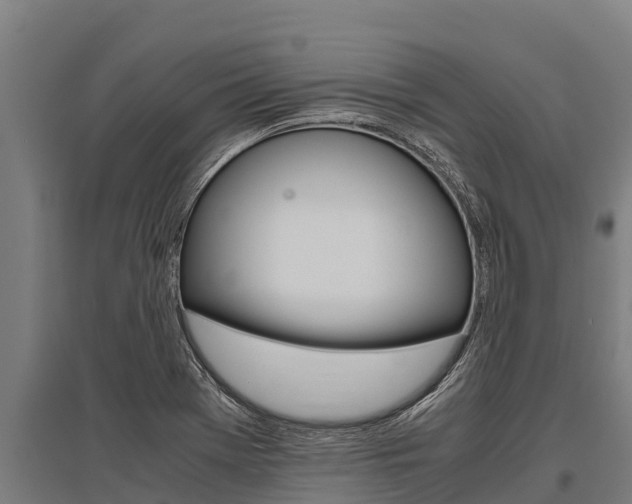 X0000096141369200801180842