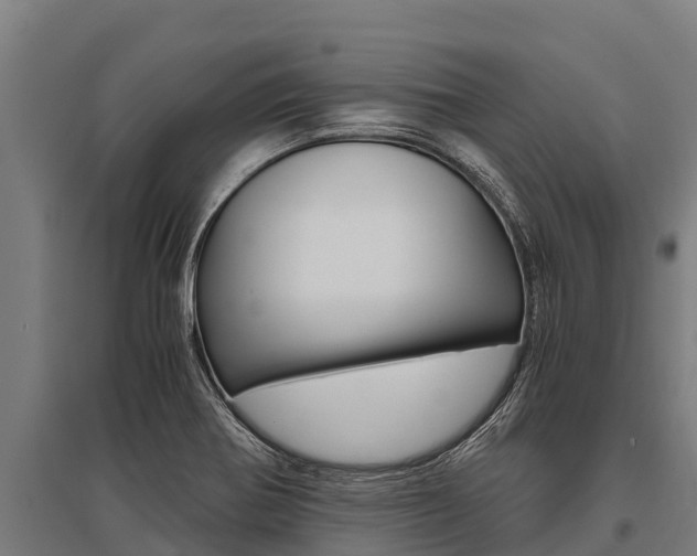 X0000096141370200801180842