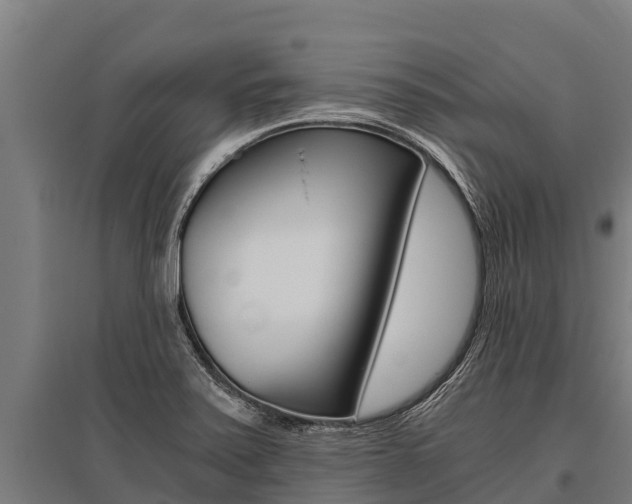 X0000096141371200801180842