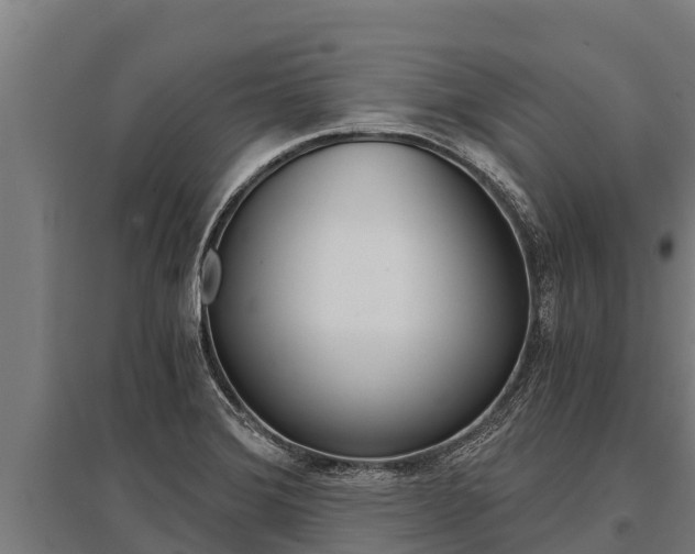 X0000096141372200801180842