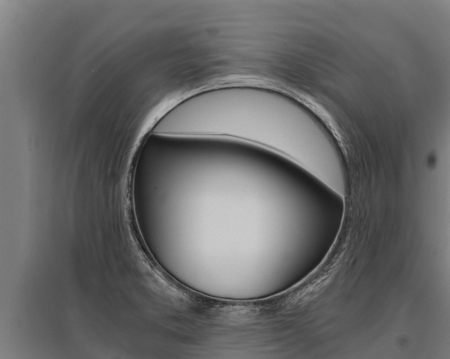 X0000096141373200801180842