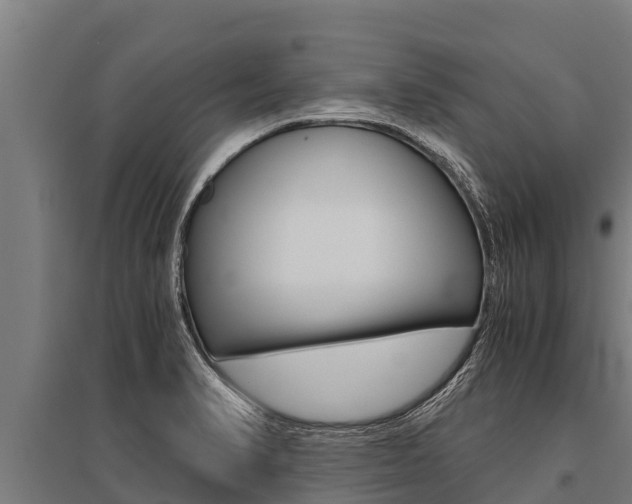 X0000096141374200801180842