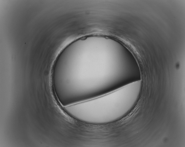 X0000096141375200801180842