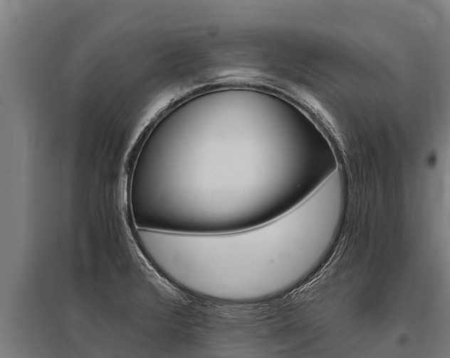 X0000096141376200801180842