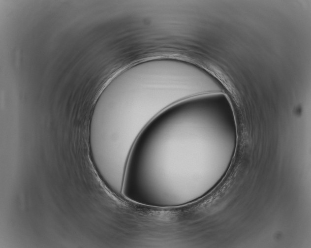X0000096141377200801180842