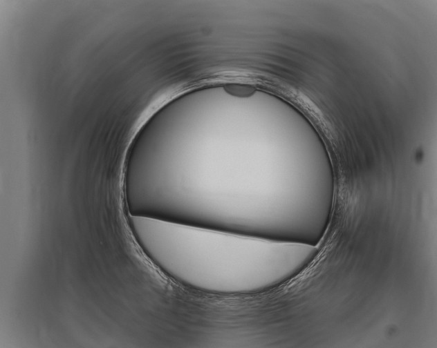 X0000096141378200801180842