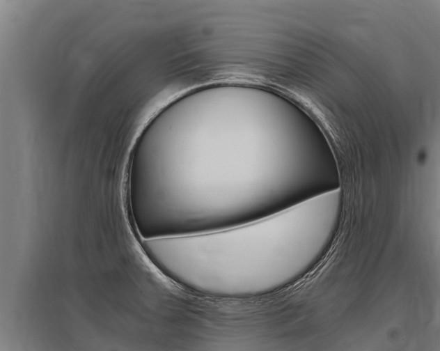 X0000096141379200801180842