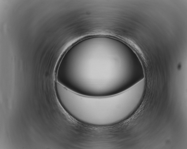 X0000096141380200801180842