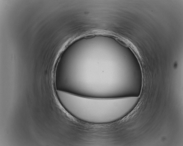 X0000096141381200801180842