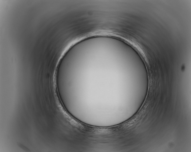 X0000096141382200801180842