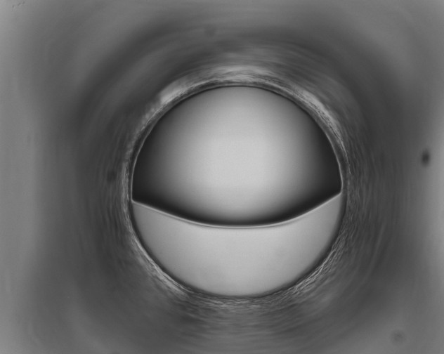 X0000096141384200801180842
