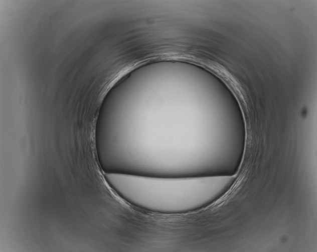 X0000096141385200801180842