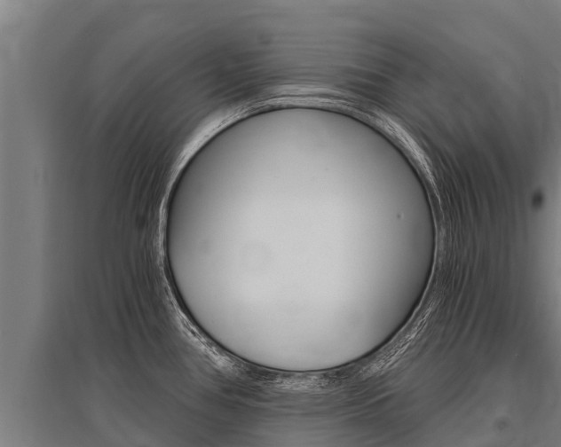 X0000096141386200801180842