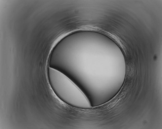 X0000096141387200801180842