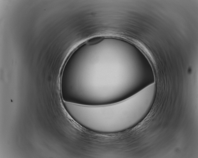 X0000096141388200801180842