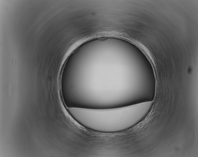 X0000096141389200801180842