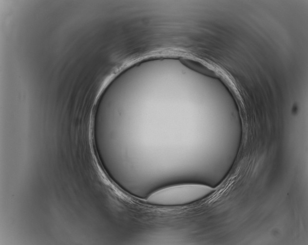 X0000096141390200801180842