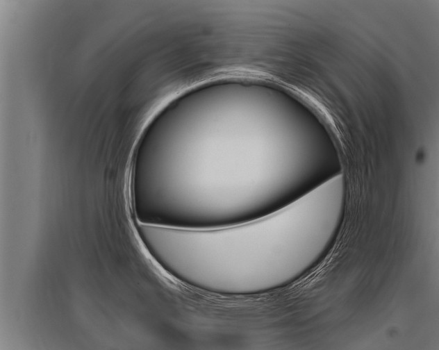 X0000096141391200801180842