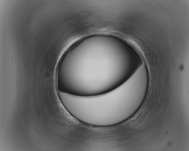 X0000096141392200801180842