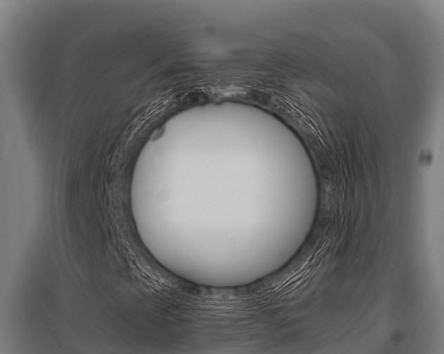 X0000096141393200801180841