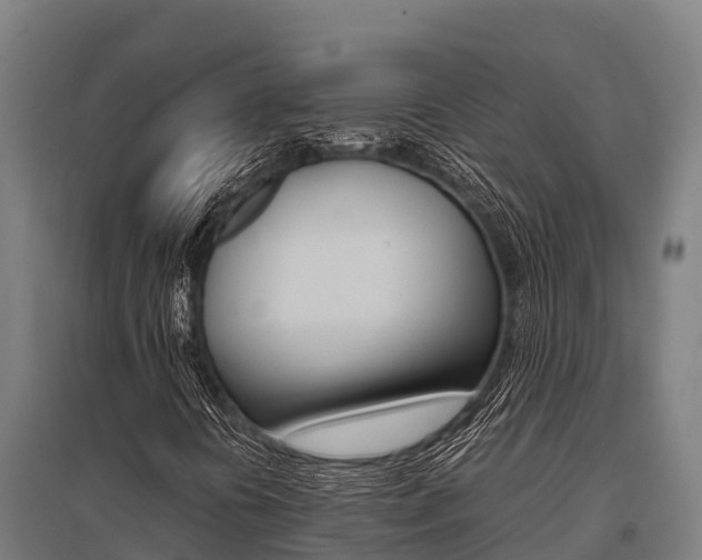 X0000096141394200801180841