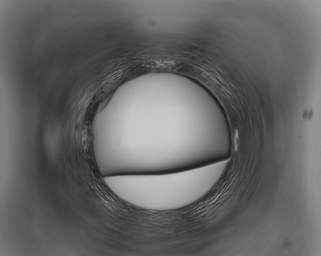 X0000096141395200801180841