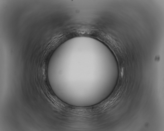 X0000096141396200801180841