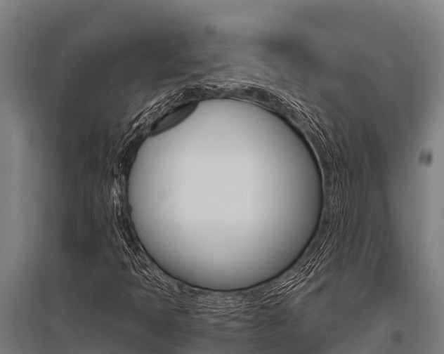 X0000096141397200801180841