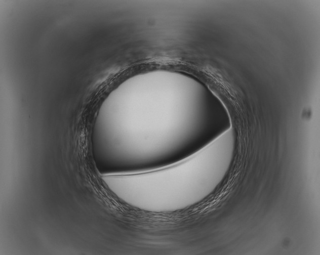 X0000096141398200801180841