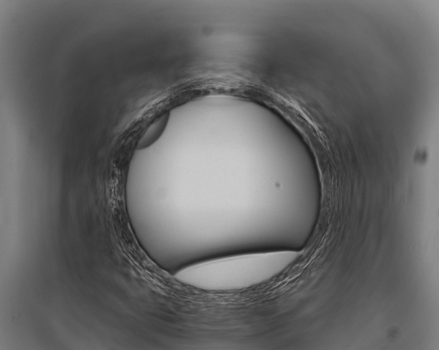 X0000096141399200801180841