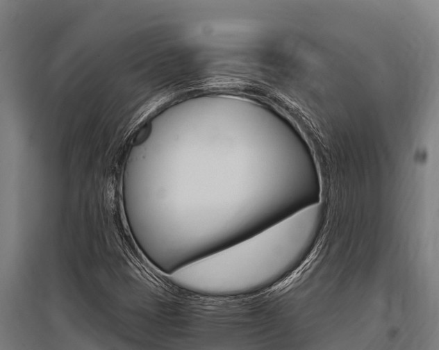 X0000096141401200801180841