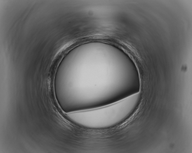 X0000096141402200801180841