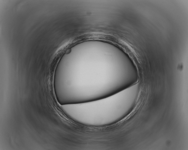 X0000096141403200801180841