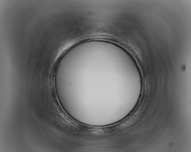 X0000096141405200801180841