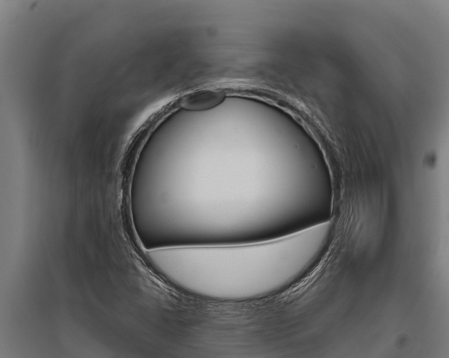 X0000096141406200801180841