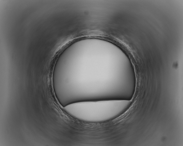 X0000096141407200801180841