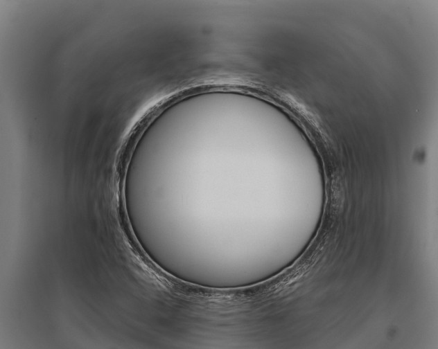 X0000096141408200801180841