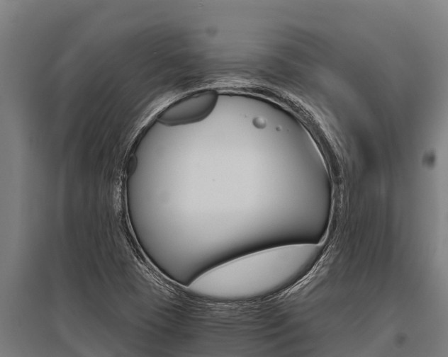 X0000096141409200801180841