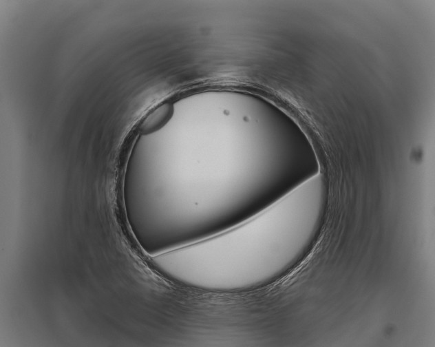 X0000096141410200801180841