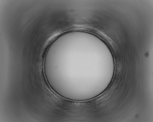 X0000096141411200801180841