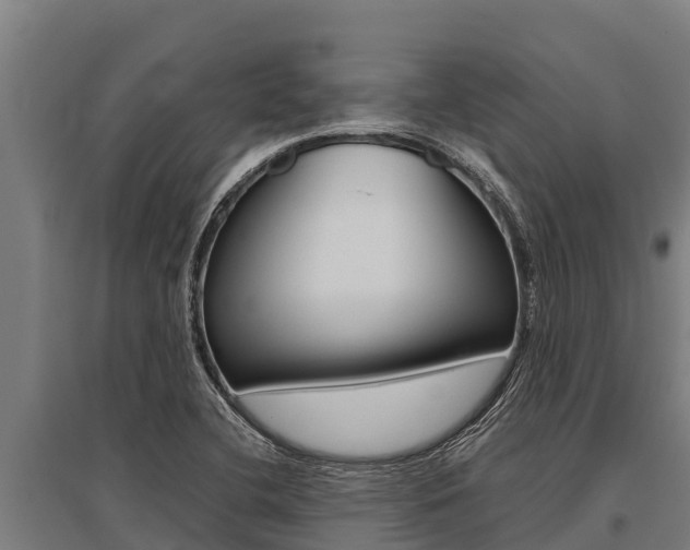 X0000096141412200801180841
